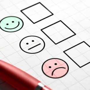 grille d'entretien CSE