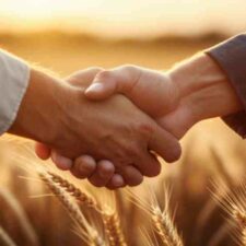 egalim - négociation commerciale - - grande distribution - agriculture