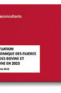 marche-viandes-bovines-procines-2023-cover